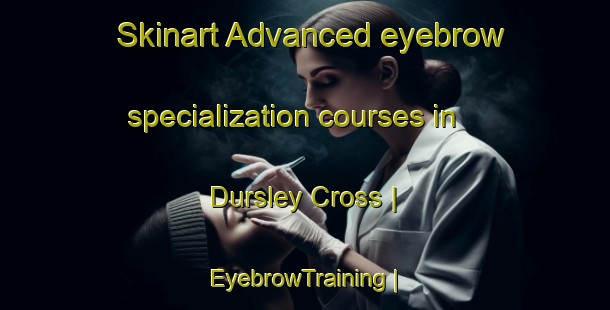 Skinart Advanced eyebrow specialization courses in Dursley Cross | EyebrowTraining | EyebrowClasses | SkinartTraining-United Kingdom